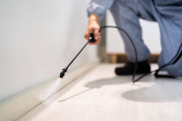Certified termite inspector examining foundation in Hazleton
