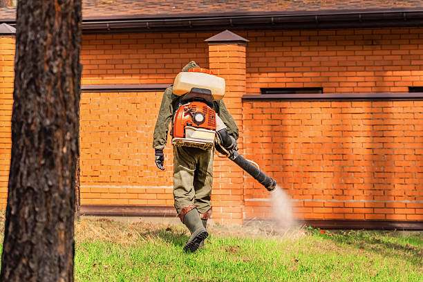 Top rated local Mosquito Control specialists in Hazleton, PA
